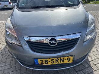 Opel Meriva 1.4 COSMO picture 5