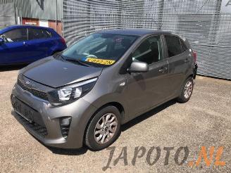 Auto da rottamare Kia Picanto Picanto (JA), Hatchback, 2017 1.2 CVVT 16V 2017/7