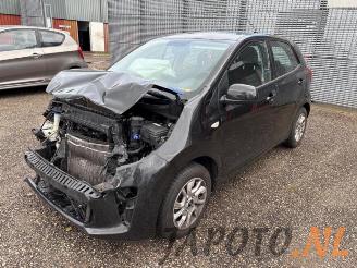 Coche siniestrado Kia Picanto Picanto (JA), Hatchback, 2017 1.0 12V 2019/8