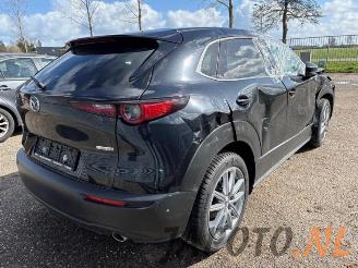 Mazda CX-30 CX-30 (DM), SUV, 2019 2.0 e-SkyActiv-G 150 16V picture 5