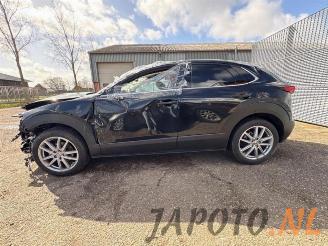 Mazda CX-30 CX-30 (DM), SUV, 2019 2.0 e-SkyActiv-G 150 16V 4WD picture 2