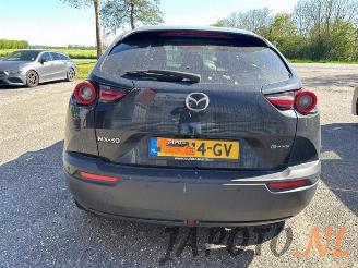 Mazda MX-30 MX-30, SUV, 2020 e-SkyActiv 145 picture 4