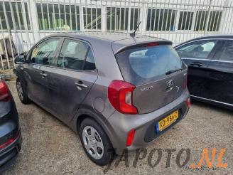 Kia Picanto Picanto (JA), Hatchback, 2017 1.0 12V picture 2