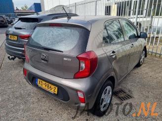 Kia Picanto Picanto (JA), Hatchback, 2017 1.0 12V picture 3