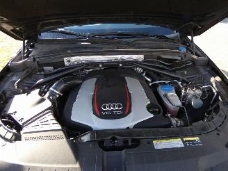 Audi SQ5 3.0 TDI SQ5 q. Pro L picture 30