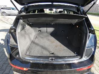 Audi SQ5 3.0 TDI SQ5 q. Pro L picture 5