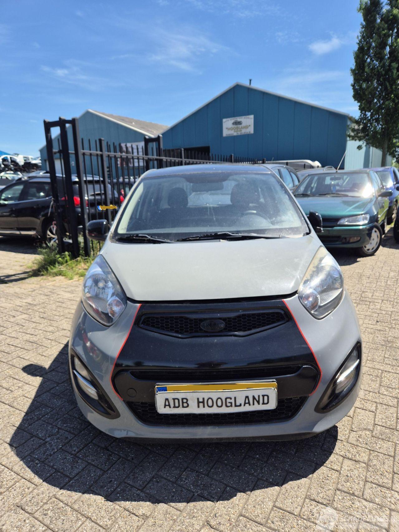 Kia Picanto (TA) Hatchback 1.0 12V (G3LA) [51kW] 5-BAK