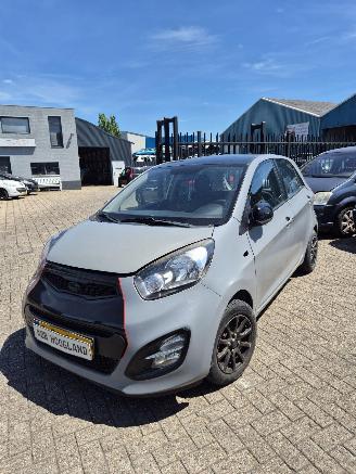 Kia Picanto (TA) Hatchback 1.0 12V (G3LA) [51kW] 5-BAK picture 2