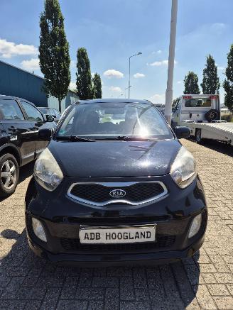 Vrakbiler auto Kia Picanto (TA) Hatchback 1.0 12V (G3LA) [51kW] 5-BAK 2012/1