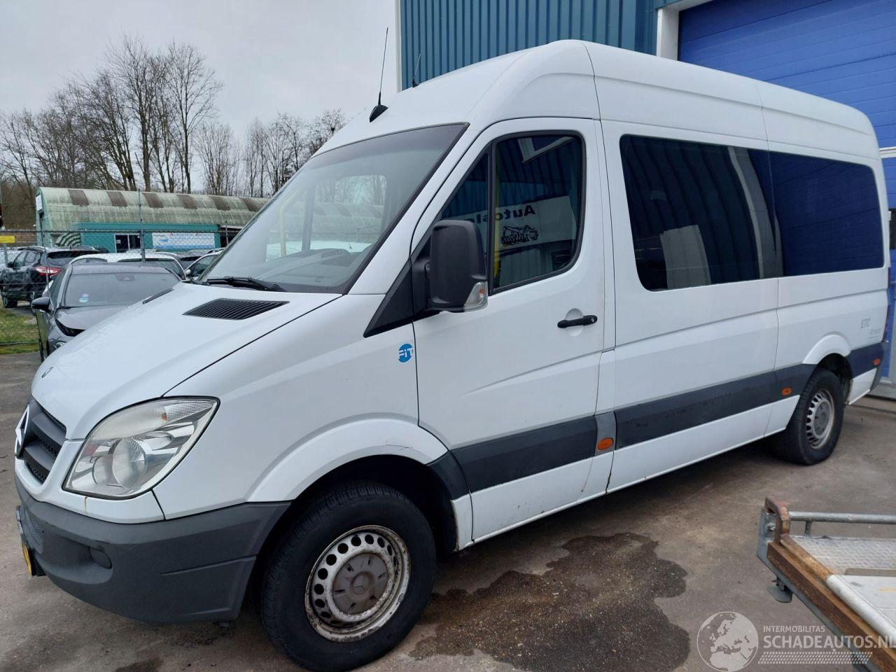Mercedes Sprinter Sprinter 3,5t (906.73) Bus 311 CDI 16V