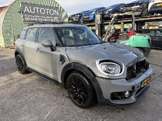 Damaged car Mini Countryman 1.5 75KW Autom. Pano Clima Navi Dutch Made Edition Led 2019/9