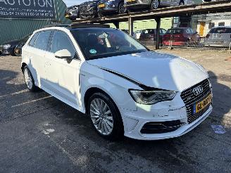  Audi A3 1.4 E-Tron 110KW Pano Clima Navi Keyless Led 2015/5
