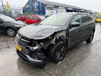 Opel Grandland X 1.2 Turbo 96KW Clima Navi Led 120 Jaar Edition NAP picture 5