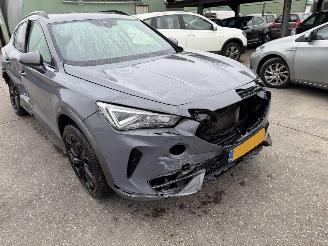 Cupra Formentor 1.4 110KW DSG e-Hybrid Clima Navi Copper Edition picture 19