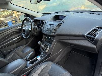 Ford Kuga 2.0 TDCI 132KW 4WD Clima Navi Titanium picture 6