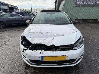 Volkswagen Golf 1.4 TSI 103KW DSG Pano ACT Highline picture 13