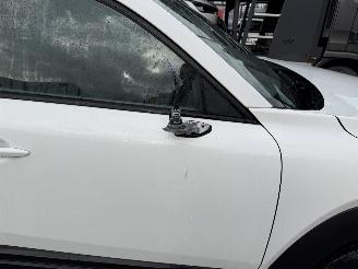 Mazda MX-30 36 kWh 107KW e-Skyactiv Comfort Clima Navi Led HUD NAP picture 18