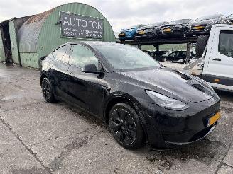  Tesla Model Y 58 kWh 175KW RWD Pano Clima Navi NAP 2024/9