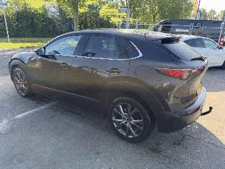 Mazda CX-30 2.0 e-Skyactiv-X 137KW M Hybrid Autom. Clima Navi Luxury HUD NAP picture 4