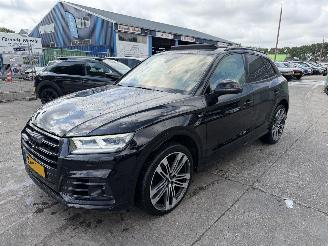 Audi SQ5 3.0 TFSI 260KW Quattro Pano HUD Clima Navi Plus Led Xenon Camera 2017/3