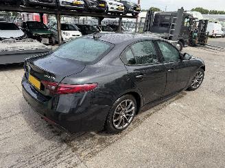 Alfa Romeo Giulia 2.0T 147KW Autom. Super Clima Navi NAP picture 2