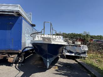 Volvo  Vetus boot picture 3