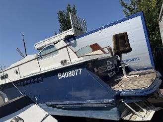 Volvo  Vetus boot picture 20