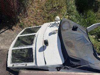 Volvo  Vetus boot picture 18