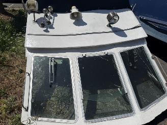 Volvo  Vetus boot picture 21