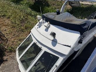 Volvo  Vetus boot picture 19