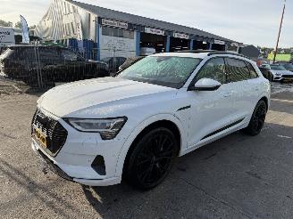 Damaged car Audi E-tron 55 Quattro 95 kWh 408PK Pano Clima Navi Advanced Pro HUD 2019/12