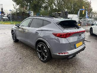 Cupra Formentor 2.0 TSI 310PK 4Drive VZ Pano Clima Navi Camera picture 6