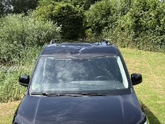 Volkswagen Caddy maxi 7 Persoons picture 7