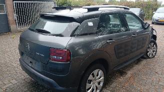 Citroën C4 C4 Cactus (0B/0P) Hatchback 5-drs 1.2 PureTech 82 12V (EB2F(HMZ)) [60k=
W]  (09-2014/...) picture 4