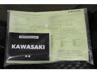 Kawasaki Z 800 ABS picture 9
