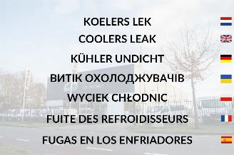 Volkswagen Caddy  picture 13