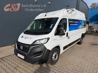 Vrakbiler auto Fiat Ducato Ducato (250), Van, 2006 2.2 D 140 Multijet 3 2022/1