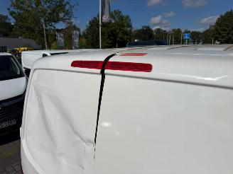Volkswagen Transporter  picture 21