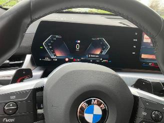 BMW X2 SDRIVE20I picture 18