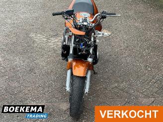 Honda CB 600 F Hornet picture 5
