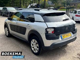 Citroën C4 cactus 1.2 PureTech Shine Navi Climate Cruise PDC picture 3