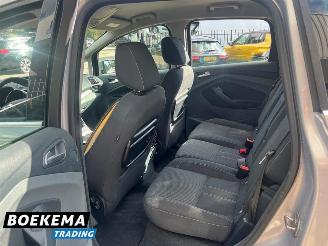 Ford C-Max 1.6 SCTi Titanium Climate Cruise PDC Trekh. picture 10