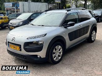 Citroën C4 cactus 1.2 PureTech Shine Navi Climate Cruise PDC picture 4