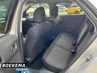 Citroën C4 cactus 1.2 PureTech Shine Navi Climate Cruise PDC picture 16