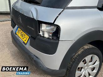 Citroën C4 cactus 1.2 PureTech Shine Navi Climate Cruise PDC picture 6