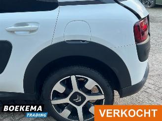 Citroën C4 cactus 1.2 PureTech Shine Virtual Navi Climate Cruise PDC picture 7