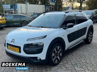 Citroën C4 cactus 1.2 PureTech Shine Virtual Navi Climate Cruise PDC picture 4