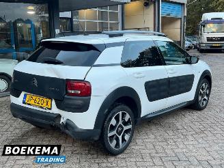 Citroën C4 cactus 1.2 PureTech Shine Virtual Navi Climate Cruise PDC picture 2
