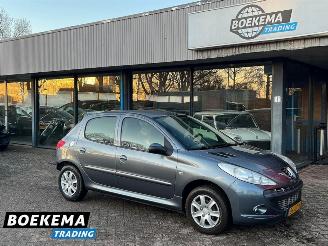  Peugeot 206+ 1.4 XS 5-Deurs Airco Cruise 2009/6