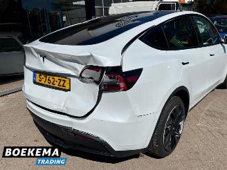 Tesla Model Y RWD 58 kWh FSD Computer 3 picture 8